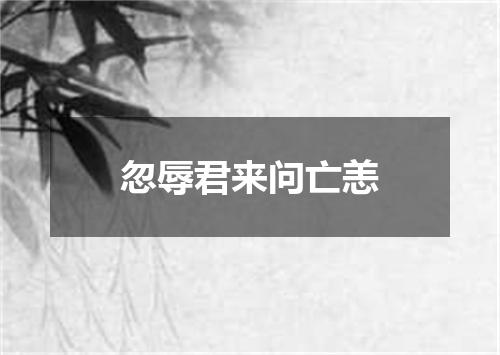 忽辱君来问亡恙