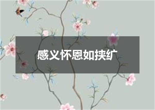 感义怀恩如挟纩