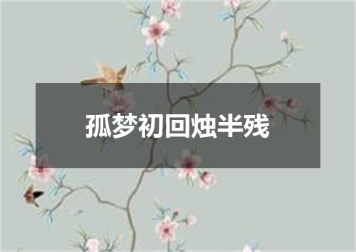 孤梦初回烛半残