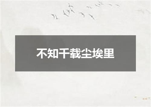 不知千载尘埃里