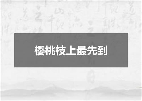 樱桃枝上最先到