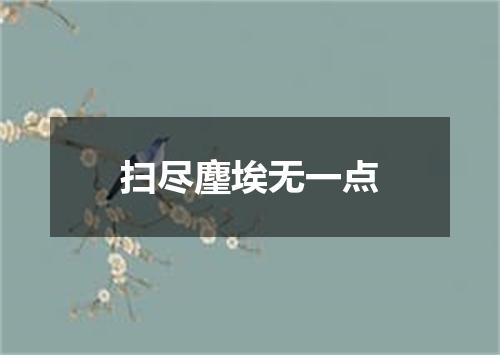 扫尽麈埃无一点