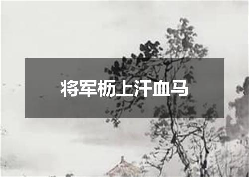 将军枥上汗血马