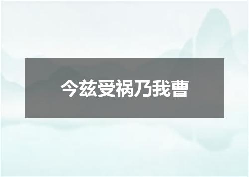今兹受祸乃我曹