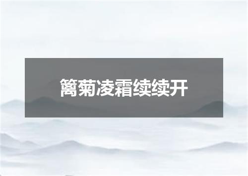 篱菊凌霜续续开