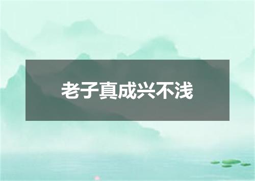 老子真成兴不浅