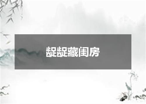 龊龊藏闺房