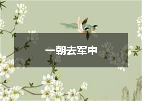 一朝去军中