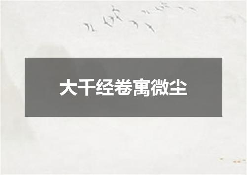 大千经卷寓微尘