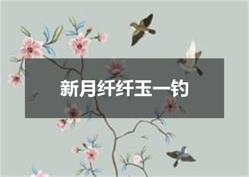新月纤纤玉一钓