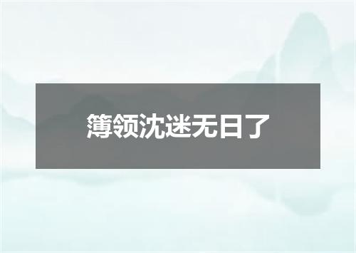 簿领沈迷无日了