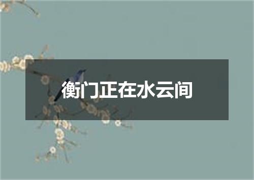 衡门正在水云间