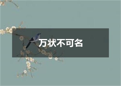 万状不可名