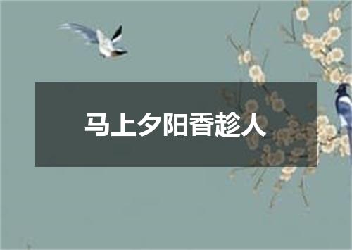 马上夕阳香趁人