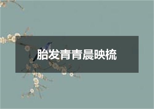 胎发青青晨映梳