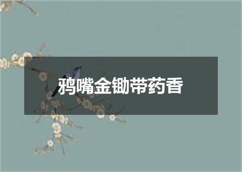 鸦嘴金锄带药香