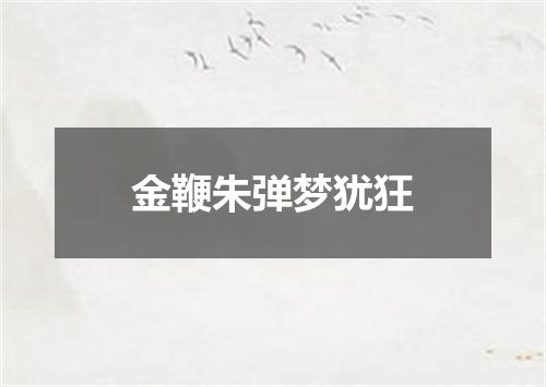 金鞭朱弹梦犹狂