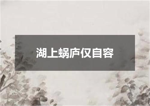 湖上蜗庐仅自容