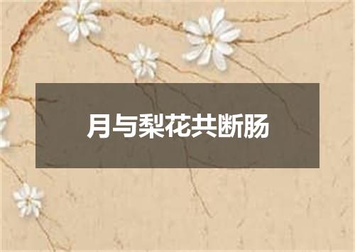 月与梨花共断肠