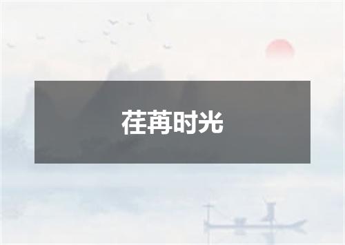 荏苒时光