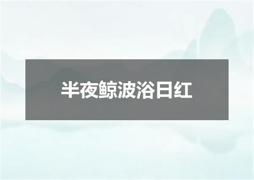 半夜鲸波浴日红