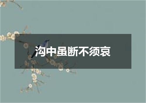 沟中虽断不须哀