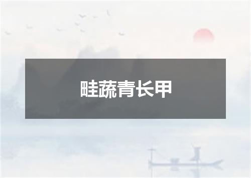 畦蔬青长甲