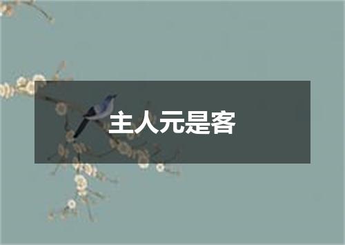 主人元是客