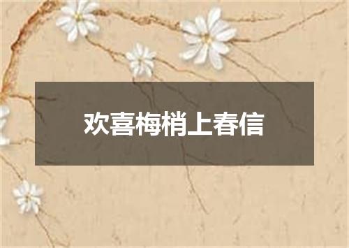 欢喜梅梢上春信