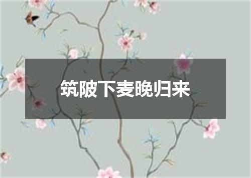 筑陂下麦晚归来