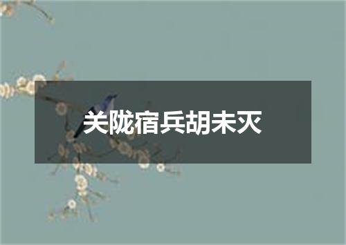 关陇宿兵胡未灭
