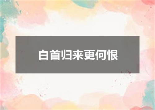 白首归来更何恨