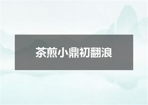 茶煎小鼎初翻浪