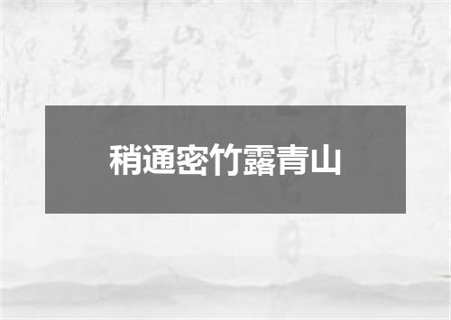 稍通密竹露青山