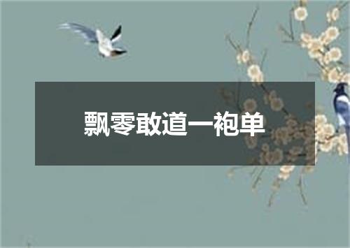飘零敢道一袍单