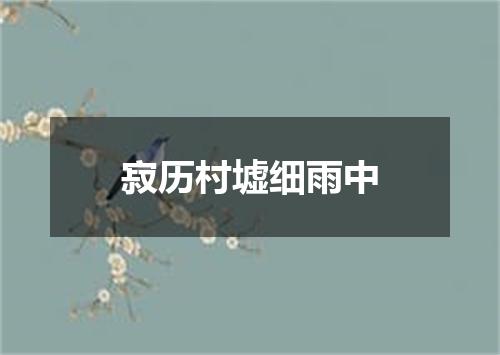 寂历村墟细雨中