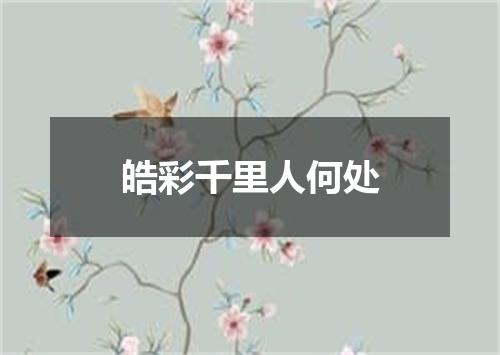 皓彩千里人何处