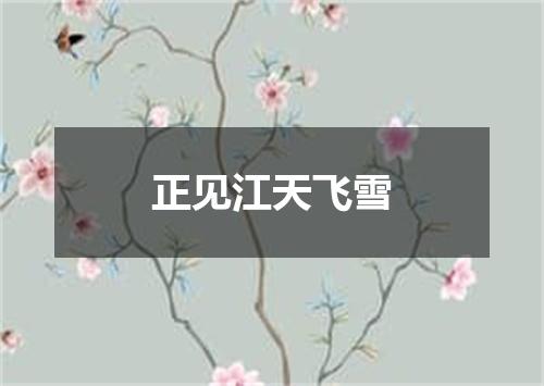 正见江天飞雪