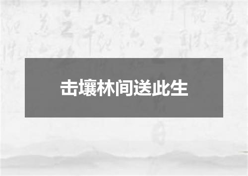 击壤林间送此生