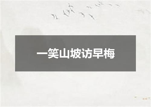 一笑山坡访早梅