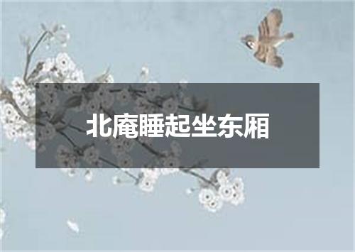 北庵睡起坐东厢