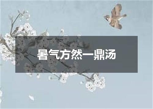 暑气方然一鼎汤