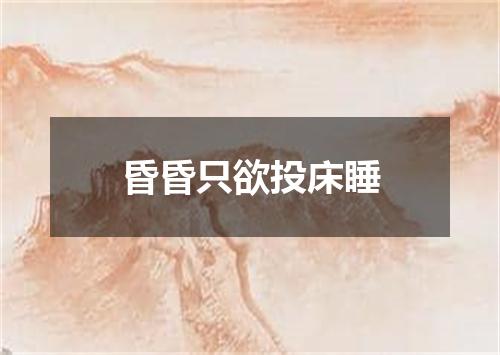 昏昏只欲投床睡
