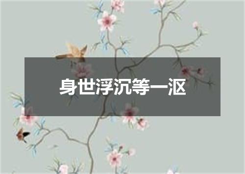 身世浮沉等一沤
