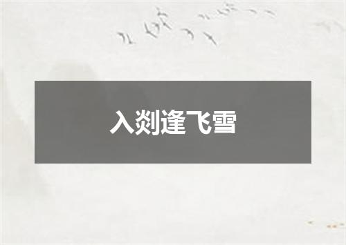 入剡逢飞雪