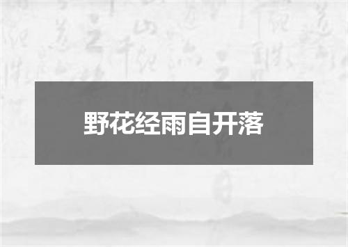 野花经雨自开落