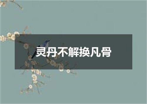 灵丹不解换凡骨