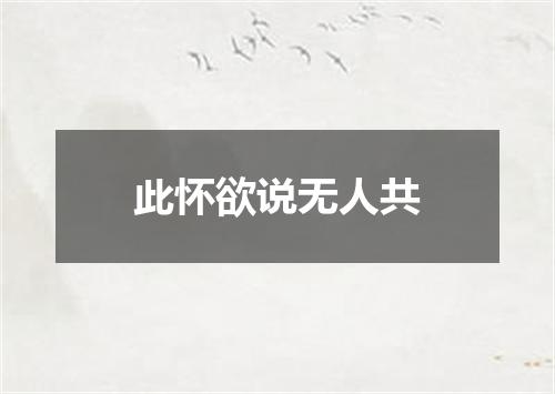 此怀欲说无人共