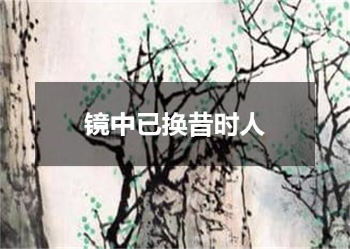 镜中已换昔时人
