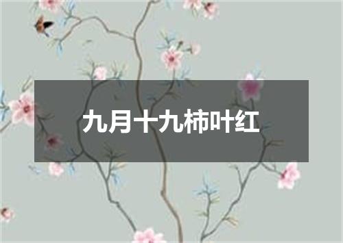 九月十九柿叶红